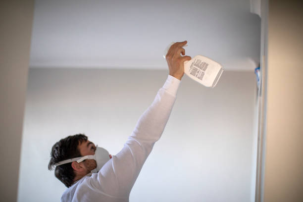 Best Mold Testing  in Mccleary, WA