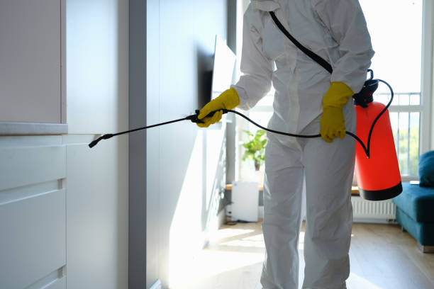 Best Mold Removal and Inspection  in Mccleary, WA