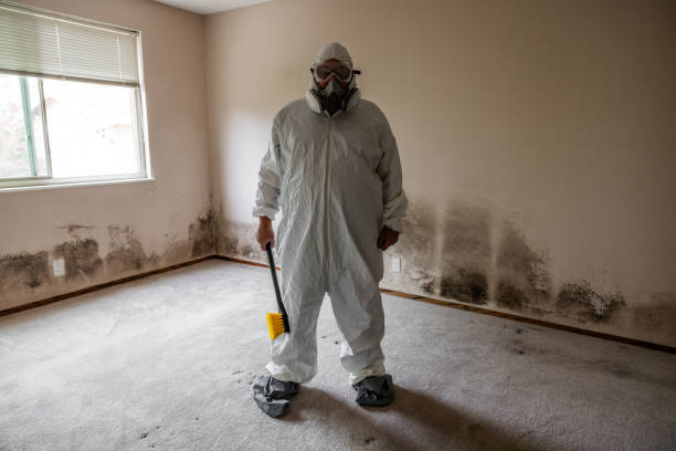 Best Fast Mold Removal  in Mccleary, WA
